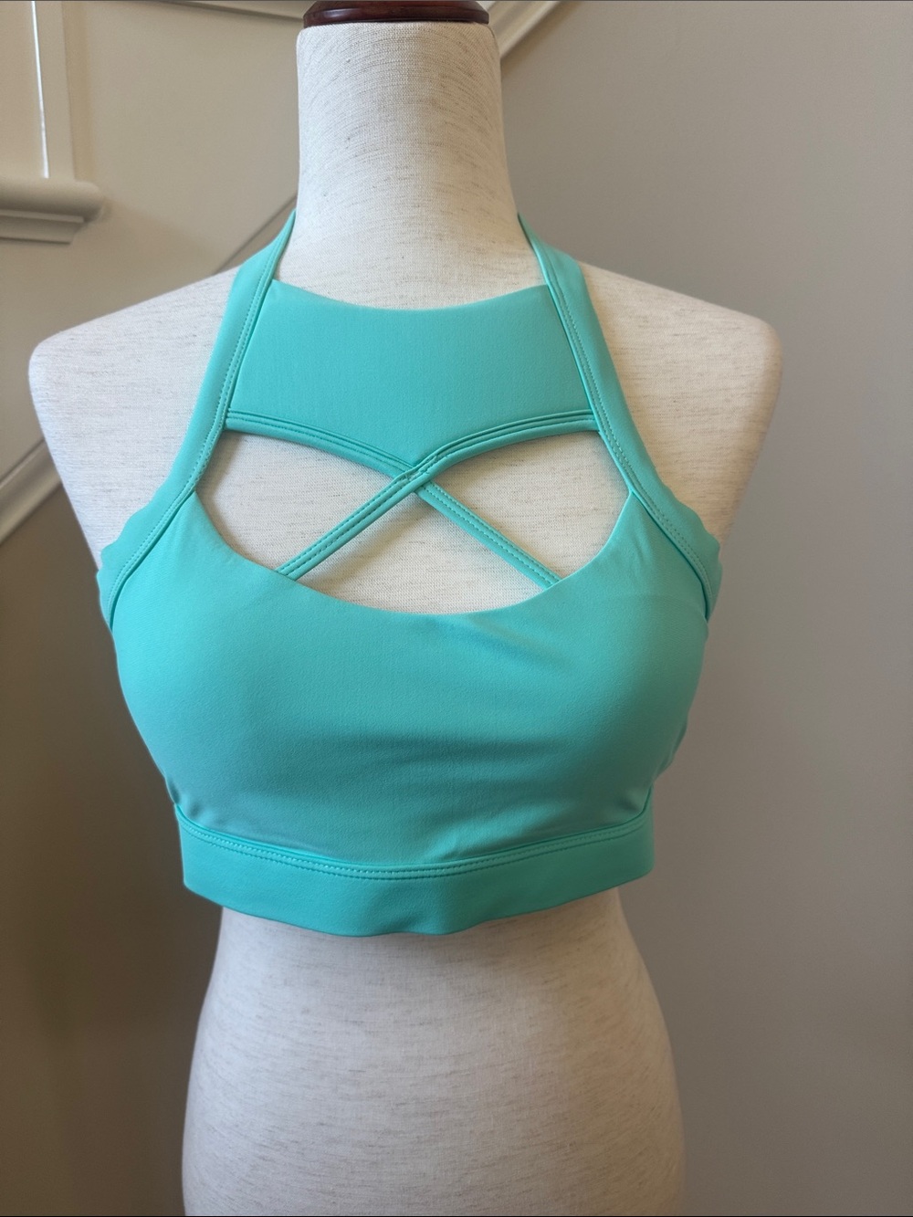 The Chestee Aqua Crisscross Halter Sports Bra